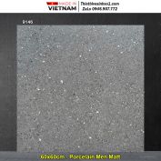 Gạch 60x60 Prime 9146 Vân Terrazzo