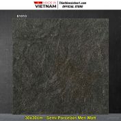 Gạch 30x30 Prime 81010 Vân Ghi