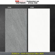 Gạch 30x60 Prime 9566-9568