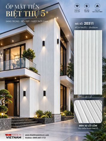 Gạch Thẻ Trang Trí 25x50 20311