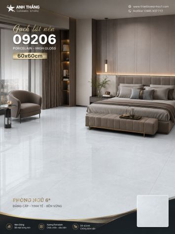 Gạch 60x60 Prime 09206