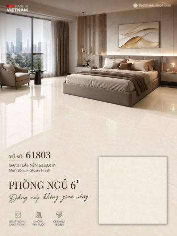 Gạch 60x60 Prime 61803