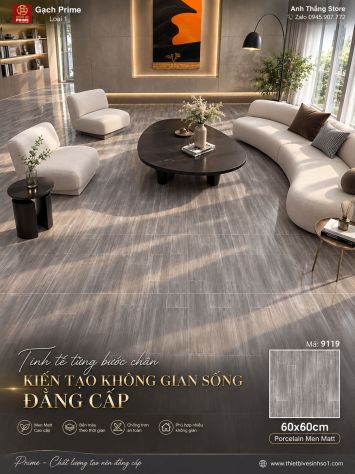 Gạch 60x60 Prime 9119