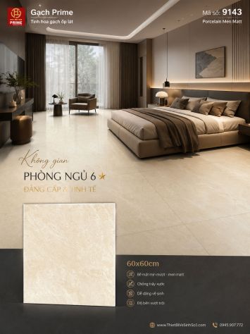 Gạch 60x60 Prime 9143