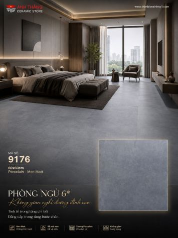 Gạch 60x60 Prime 9176