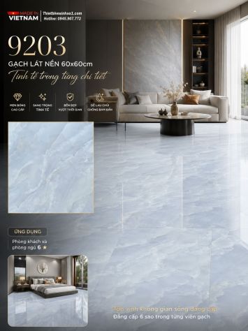 Gạch 60x60 Prime 9203