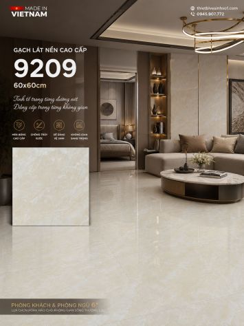 Gạch 60x60 Prime 9209
