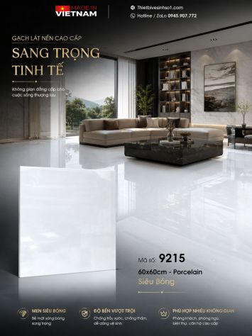 Gạch 60x60 Prime 9215