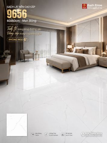 Gạch 60x60 Prime 9656