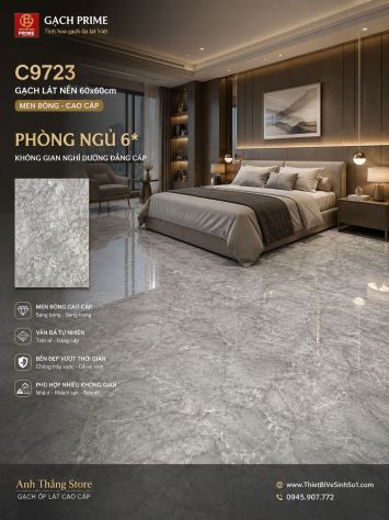 Gạch 60x60 Prime C9723