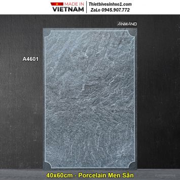 Gạch 40x60 Royal A4601 Lát Sân