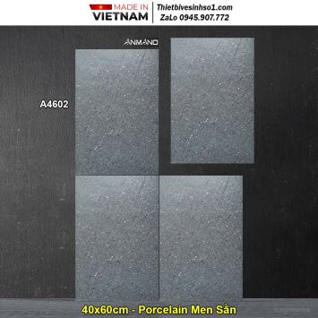 Gạch 40x60 Royal A4602 Lát Sân