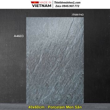 Gạch 40x60 Royal A4603 Lát Sân