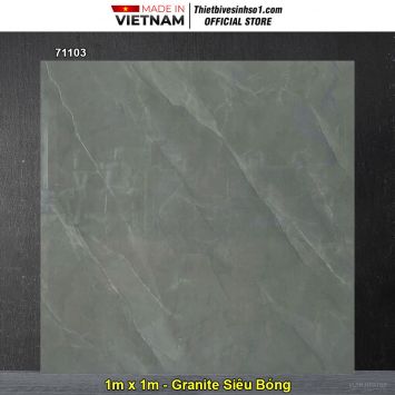 Gạch 1m x 1m Takao 71103 Vân Ghi Xám