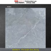 Gạch 80x80 Takao 85905 Vân Xám