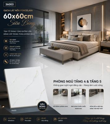 Gạch 60x60 Takao 36003