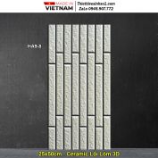 Gạch 25x50 Thanh Thanh HA9-8