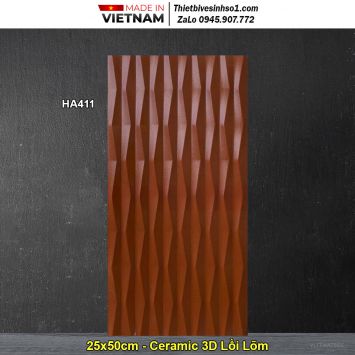 Gạch 25x50 Thanh Thanh HA411