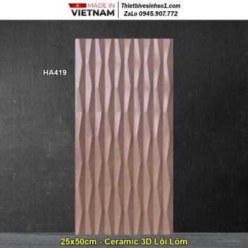 Gạch 25x50 Thanh Thanh HA419