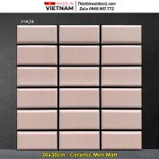 Gạch 30x30 Thanh Thanh 11K24