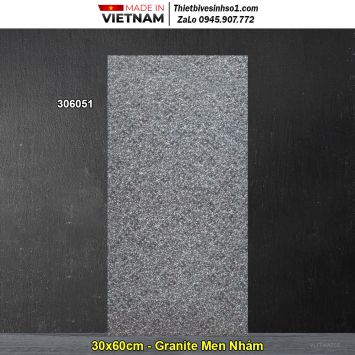 Gạch 30x60 Thanh Thanh 306051