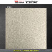 Gạch 40x40 Thanh Thanh CTG4600