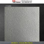 Gạch 40x40 Thanh Thanh CTG4606