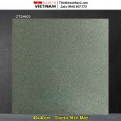 Gạch 40x40 Thanh Thanh CTS4405