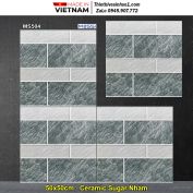 Gạch 50x50 BNC MS504 Lát Sân