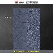 Gạch 40x60 CMC HC4603 Lát Sân