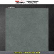 Gạch 30x30 CMC CCM33001