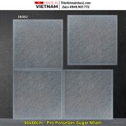 Gạch 60x60 Hoàn Mỹ Perfetto 38082 Lát Sân