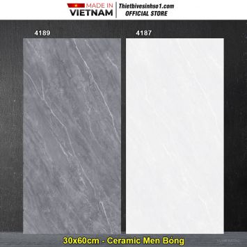 Gạch 30x60 Hoàn Mỹ Perfetto 4189-4187