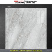 Gạch 60x60 Hoàn Mỹ Perfetto 7346