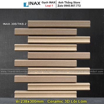 Gạch inax INAX-30B-TKB-2