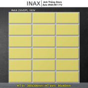 Gạch inax INAX-255/DPL-103V