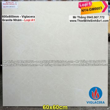 Gạch 60x60 Viglacera NY4-GM6603