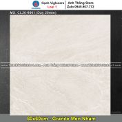 Gạch 60x60 Viglacera CL20-6601