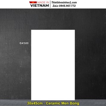 Gạch 30x45 Viglacera B4500