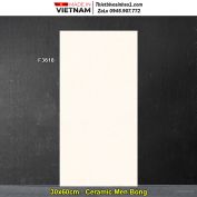 Gạch 30x60 Viglacera F3618