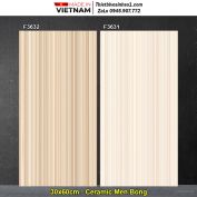 Gạch 30x60 Viglacera F3632-F3631