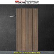 Gạch 30x60 Viglacera GW3653