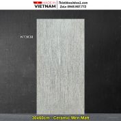 Gạch 30x60 Viglacera KT3638