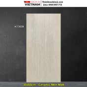 Gạch 30x60 Viglacera KT3639