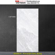 Gạch 30x60 Viglacera Platinum CBP3608