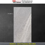 Gạch 30x60 Viglacera Platinum PH3613