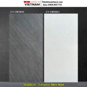 Gạch 30x60 Viglacera UY-CM3604 ,UY-CM3603