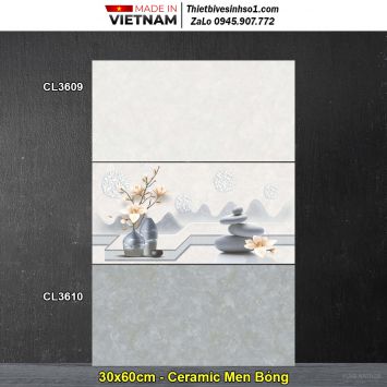 Gạch 30x60 Viglacera CL3609-CL3610