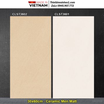 Gạch 30x60 Viglacera CLST3601-CLST3602