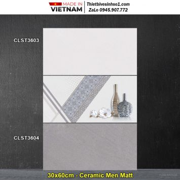 Gạch 30x60 Viglacera CLST3603-CLST3604